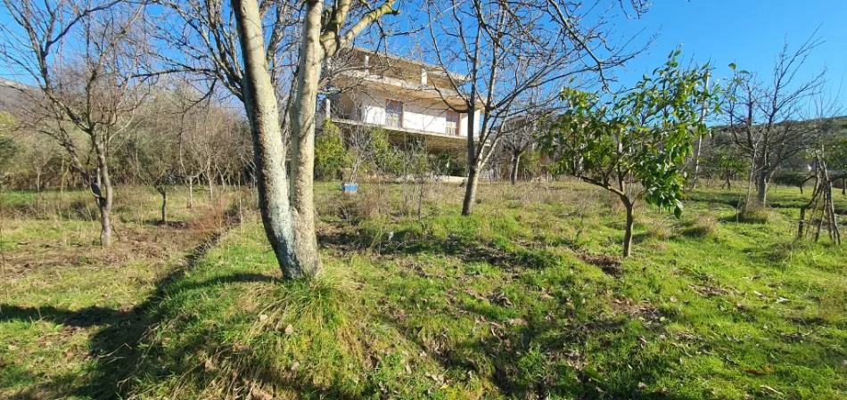 Tirane, shitet nga Pronari, pa-komision shtepi 3 Katshe Kati 3, 2.000 m² 400.000 € (Ibe e poshtme)