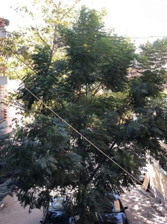 Tirane, shes apartament 2+1+A+BLK Kati 3, 72 m²