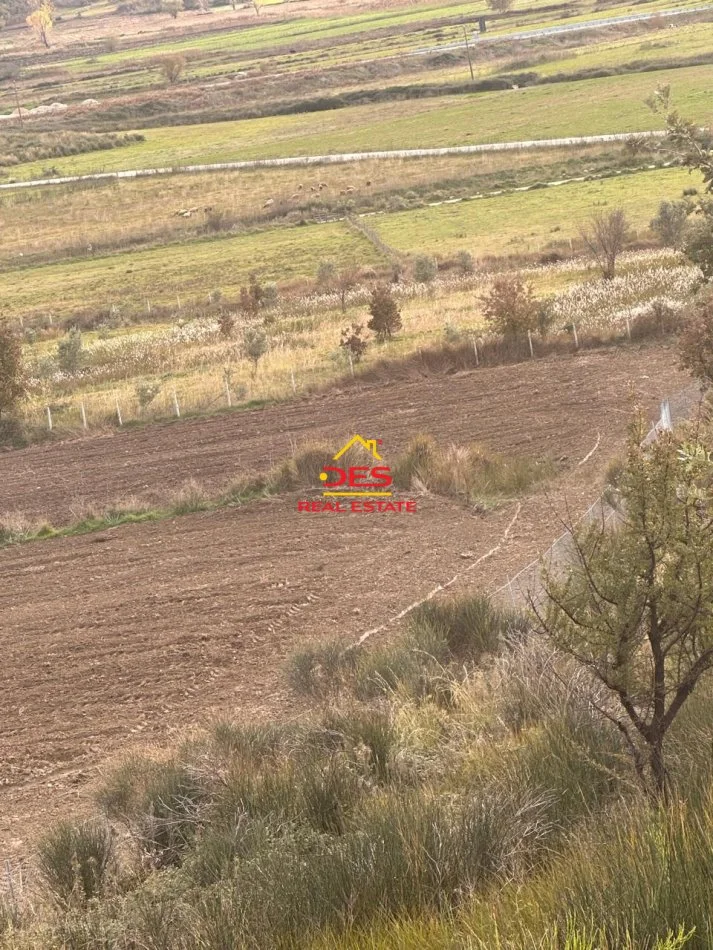 Vlore, shitet toke , 21.000 m² (Tragjas, Vlorë)