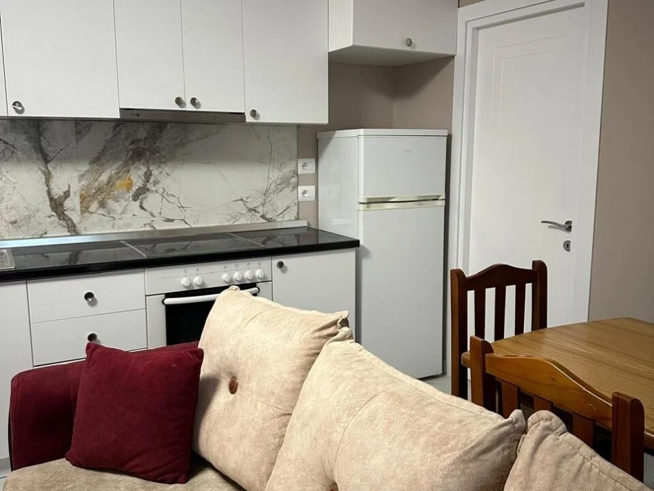 Tirane, jepet me qera apartament 1+1 Kati 1, 55 m² 450 € (Dr. Shefqet Ndroqi)