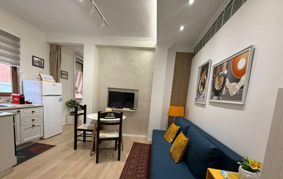 Tirane, jepet me qera apartament 1+1 Kati 4, 40 m² 500 € (Rruga Myslym Shyri)