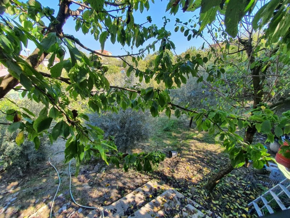 Tirane, shitet Vile 2 Katshe , 400 m² 350.000 € (Pezë e Vogël)