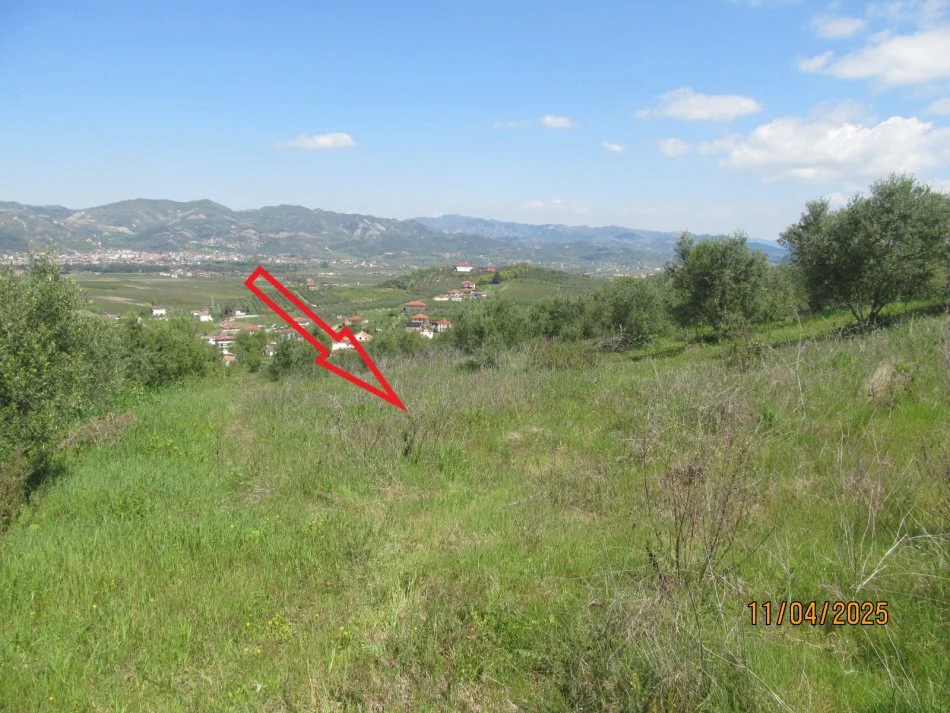 Peqin, Shitet Toke Are, siperfaqe 7,700 m², Cmimi fillestar 1,411,200 Lekë