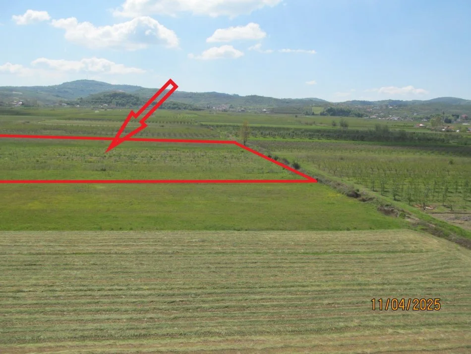 Peqin, Shitet Toke Are, siperfaqe 10.400 m², Cmimi fillestar 4,284,000 Lekë