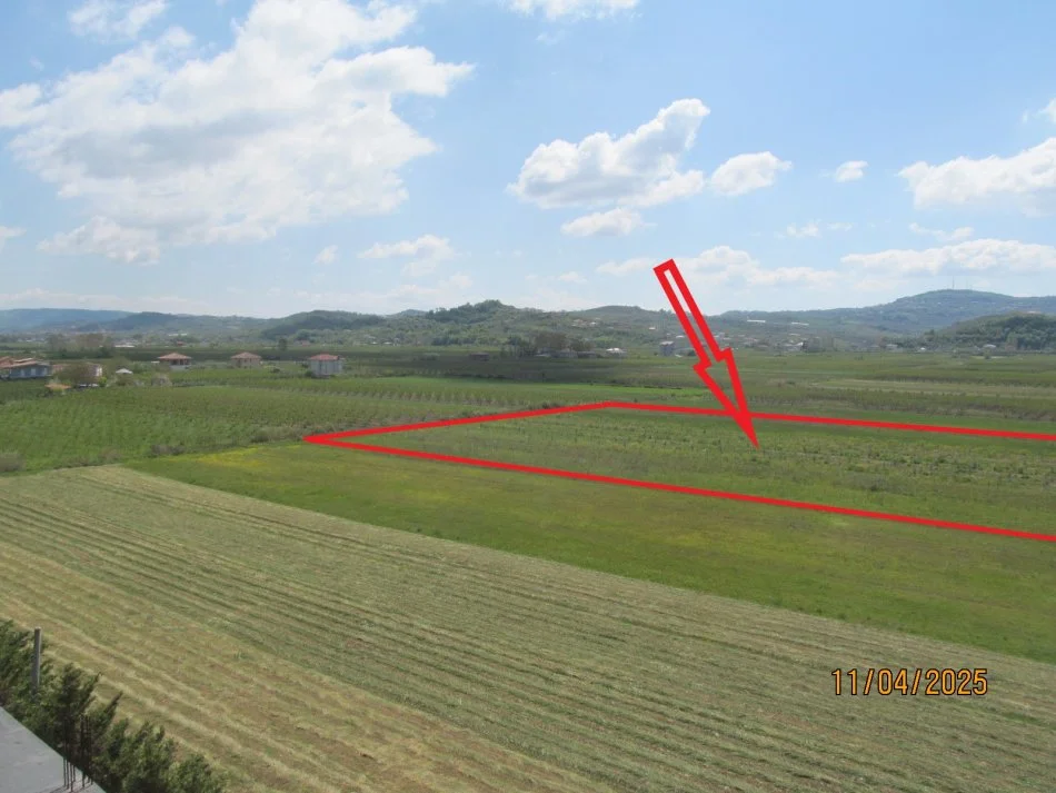 Peqin, Shitet Toke Are, siperfaqe 10.400 m², Cmimi fillestar 4,284,000 Lekë