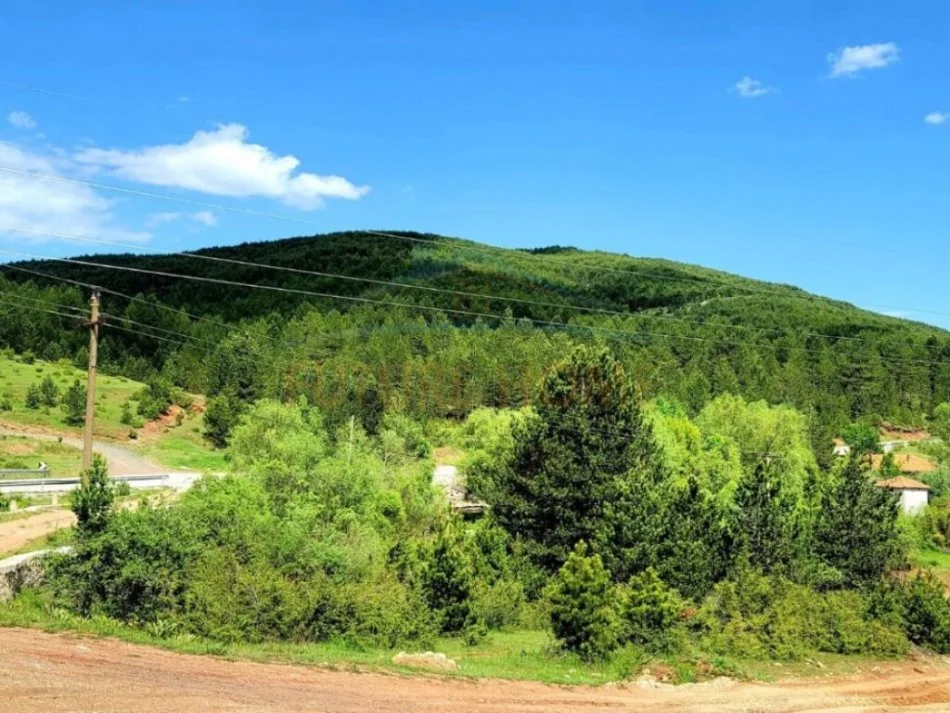 Korce, shitet truall , 750 m² 140.000 € (Voskopoje)