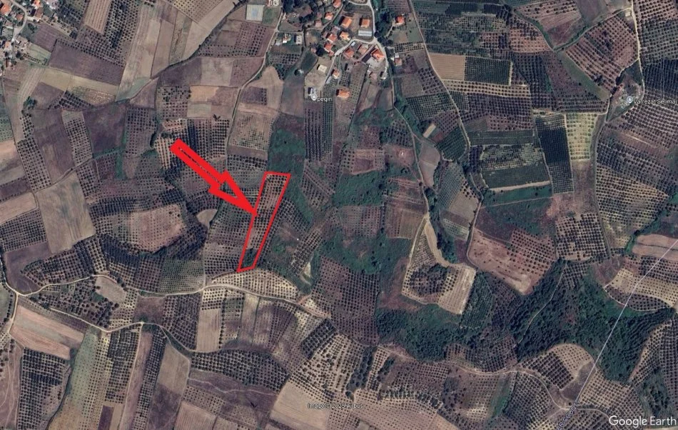 Peqin, Shitet Toke Are, siperfaqe 7,700 m², Cmimi fillestar 1,411,200 Lekë