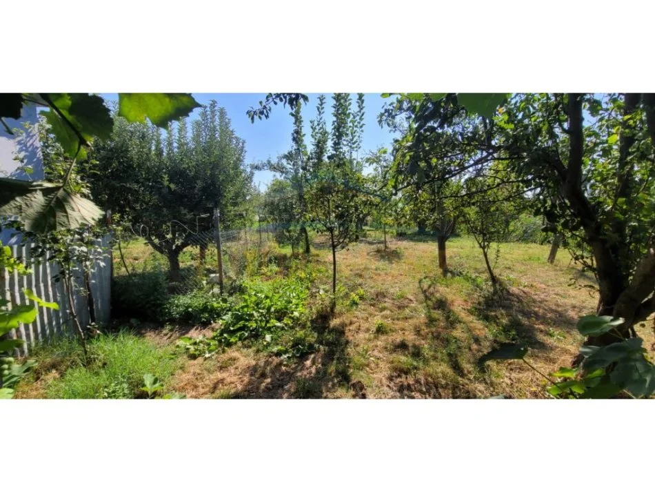 Korce, shitet shtepi 3+1 Kati 0, 67 m² 80.000 € (Sheqeras, Korçë)