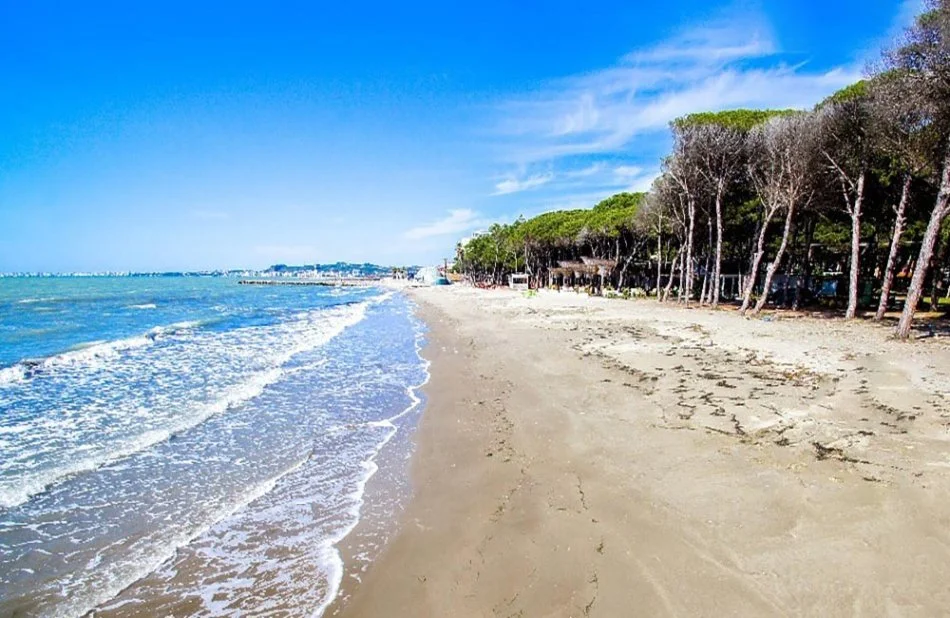 Qerret, shitet Vile 3 Katshe , 480 m² 280.000 € (Qerret/Kavaje)