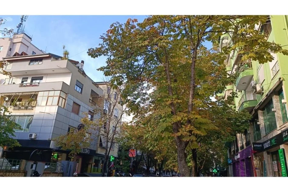 Tirane, jepet me qera dyqan Kati 0, 220 m² 3.000 € (Sami Frasheri)