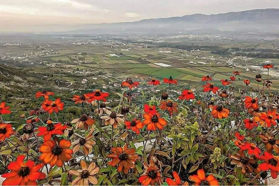 Tirane, shitet toke , 6.000 m² 510.000 € (FUSHE-PREZE)