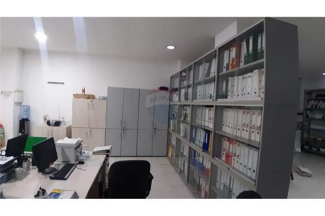 Tirane, jepet me qera zyre Kati 0, 75 m² 550 Euro (Kopshti Zoologjiik)