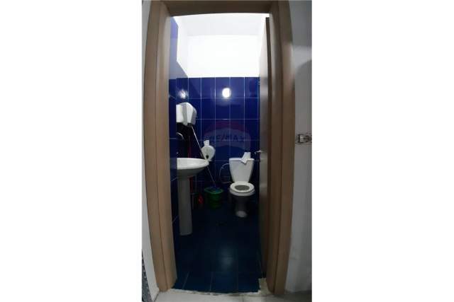 Tirane, jepet me qera zyre Kati 0, 75 m² 550 Euro (Kopshti Zoologjiik)