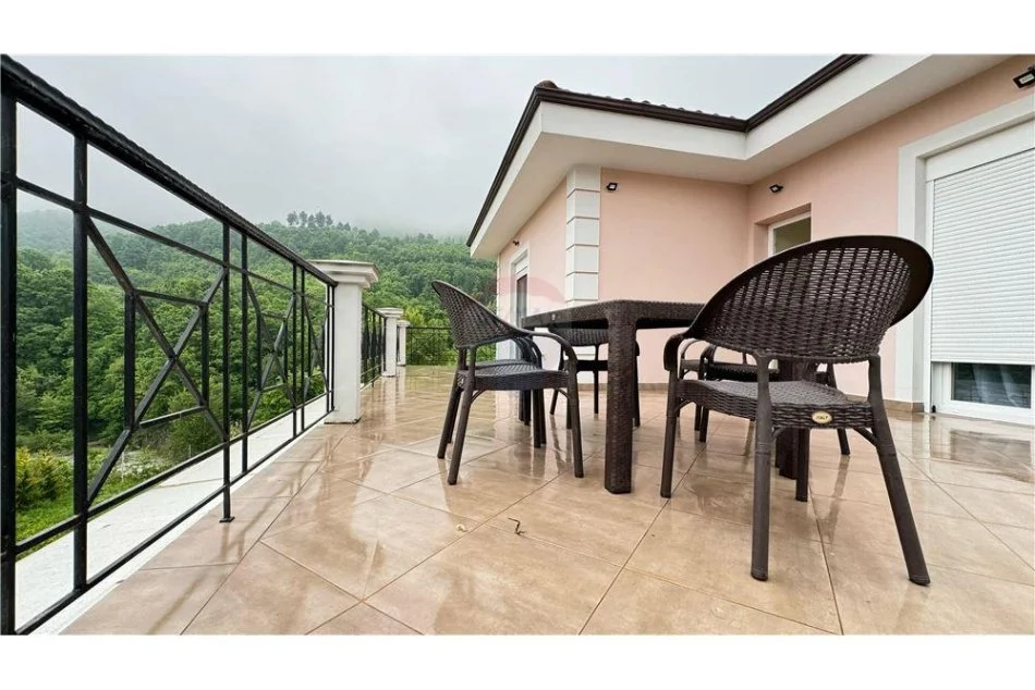 Vile tre kateshe per qira ne Mullet!