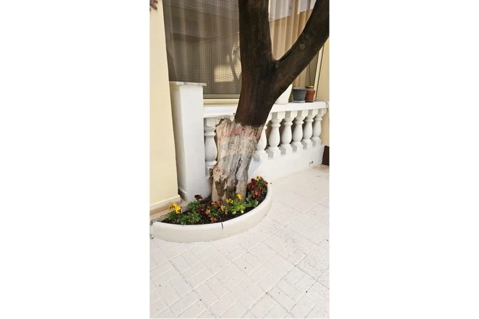 Tirane, jepet me qera shtepi 1 Katshe Kati 0, 50 m² 450 € (Rruga kongresi manastirit)