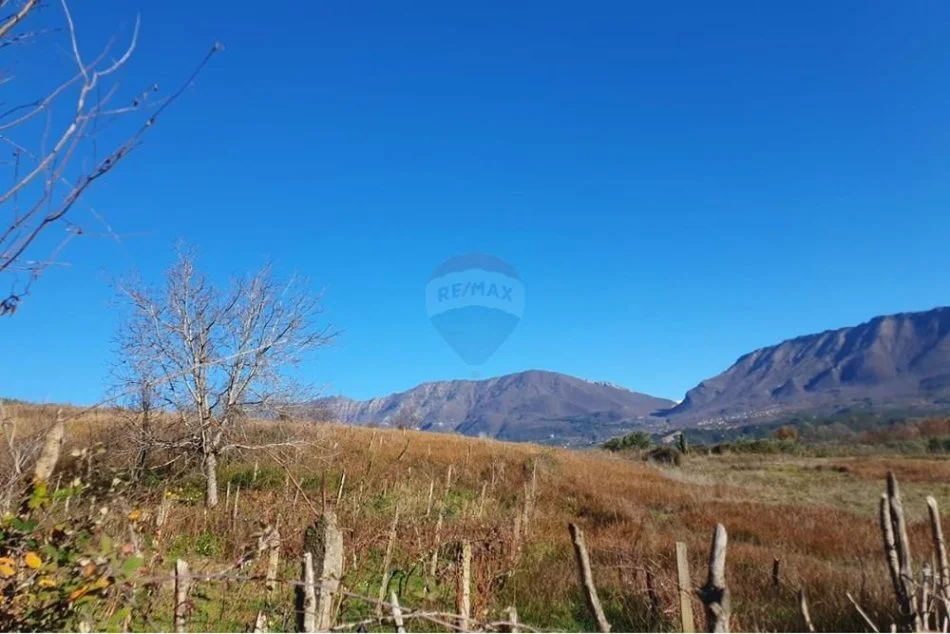 Tirane, shitet truall , 2.714 m² (Lunder)