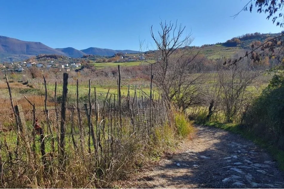 Tirane, shitet truall , 2.714 m² (Lunder)