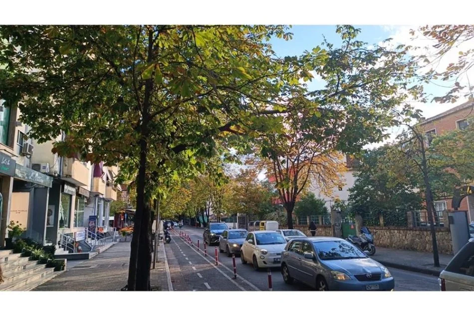 Tirane, jepet me qera dyqan Kati 0, 220 m² 3.000 € (Sami Frasheri)