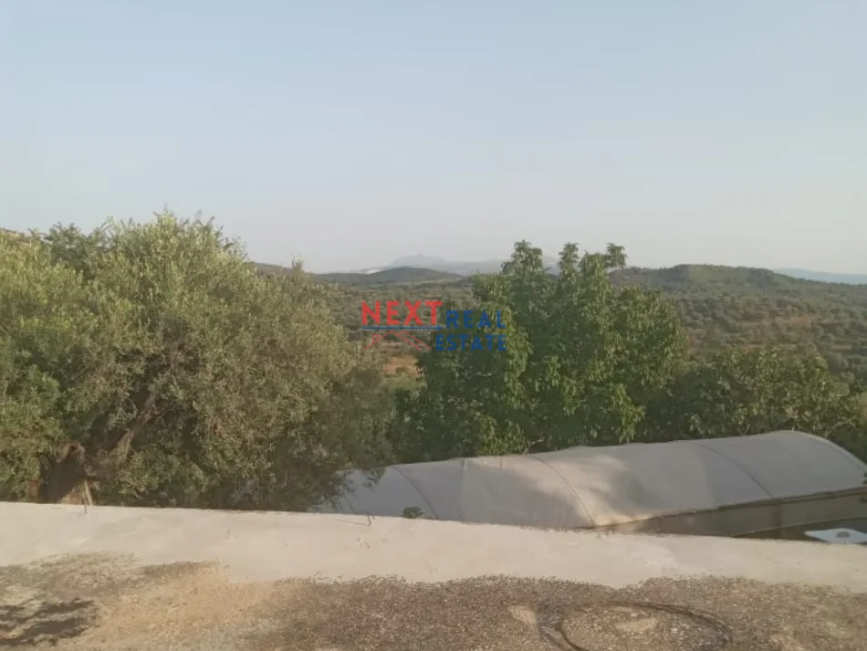 REZERVO PRONEN VETEM ME 500€! Vlore, shitet shtepi 2+1+Aneks+Ballkon Kati 0, 300 m² 60.000 € (HOSHTIME)