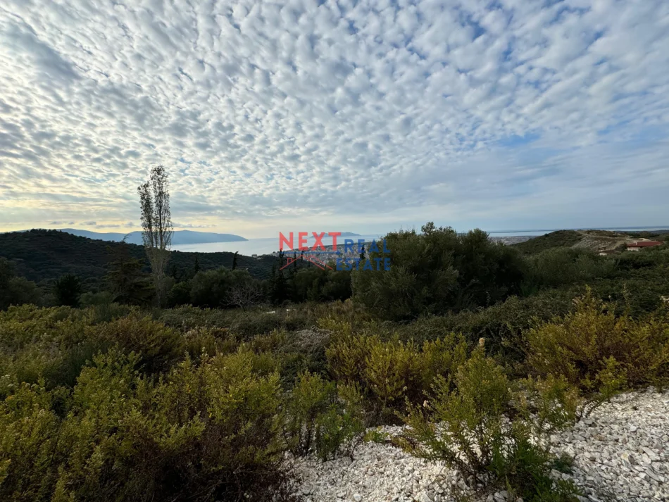 Vlore, shitet toke , 5.000 m² 440.000 € (KANINE)