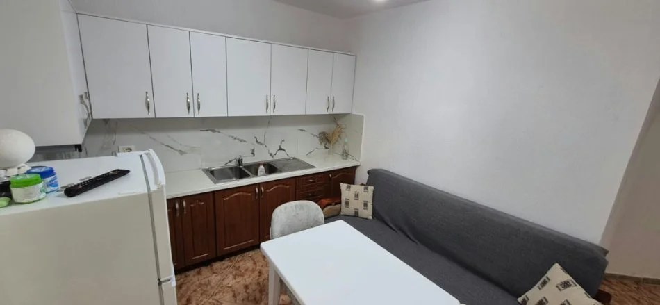 Tirane, jepet me qera Vile 1+1 , 50 m² 410 € (Rruga "Niko Avrami")