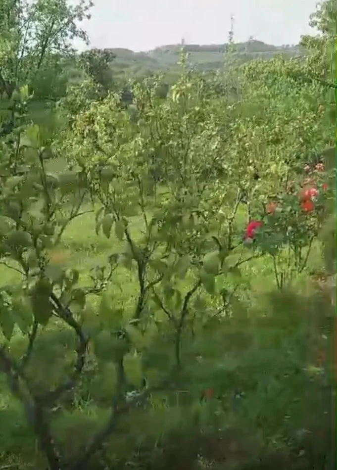 Tirane, shitet toke bujqesore , 1.400 m² (Ibe)