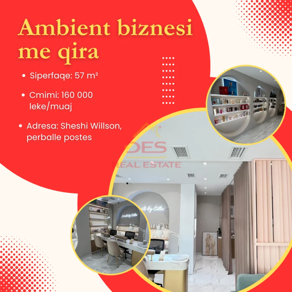 Jepet me qira ambient biznesi, Sheshi Willson!