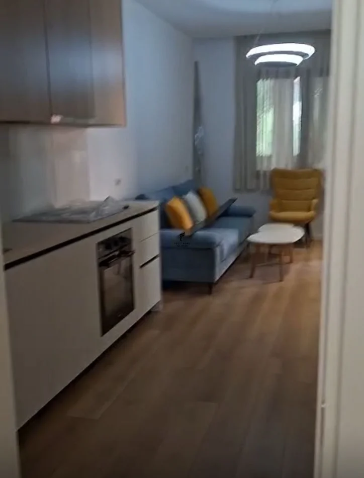 Tirane, jepet me qera apartament 1+1 Kati 1, 65 m² 500 € (BLLOKU I VILAVE SELITE)
