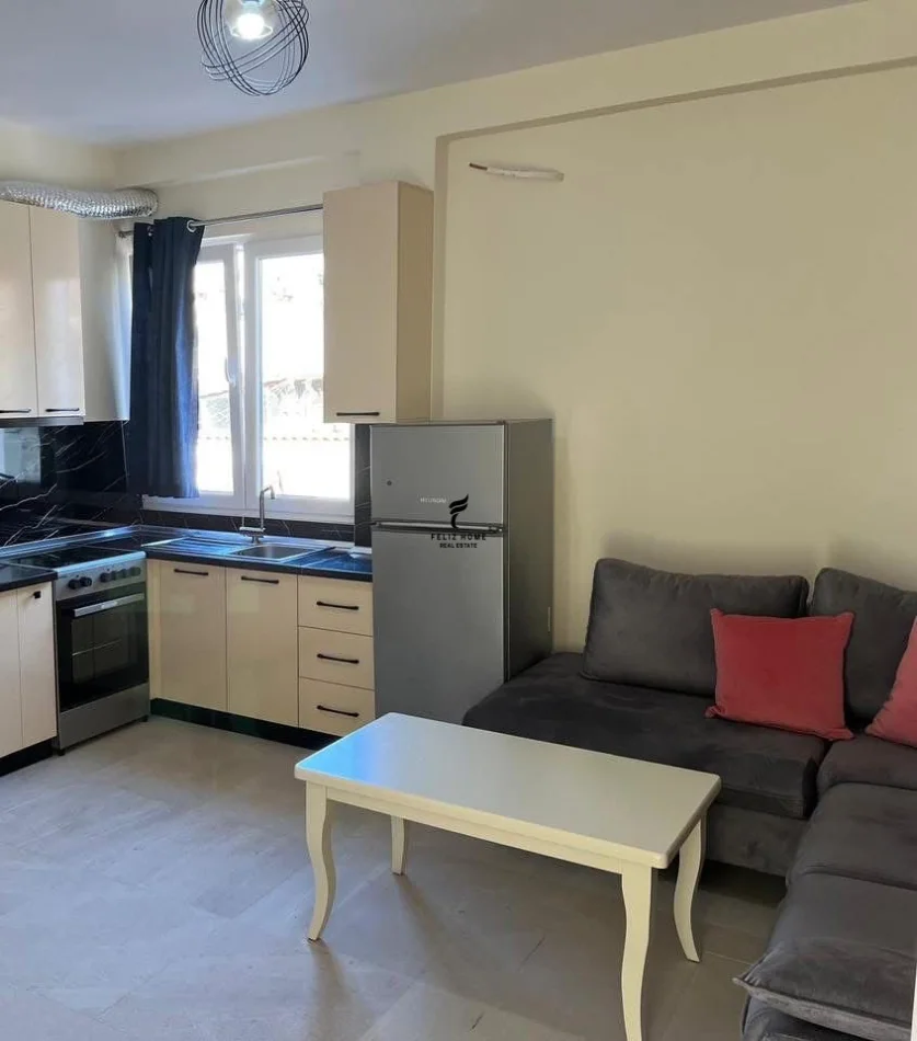 Tirane, jepet me qera apartament 2+1 Kati 2, 55 m² 450 € (SHKOLLA E BASHKUAR)