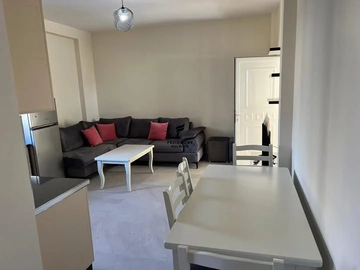 Tirane, jepet me qera apartament 2+1 Kati 2, 55 m² 450 € (SHKOLLA E BASHKUAR)
