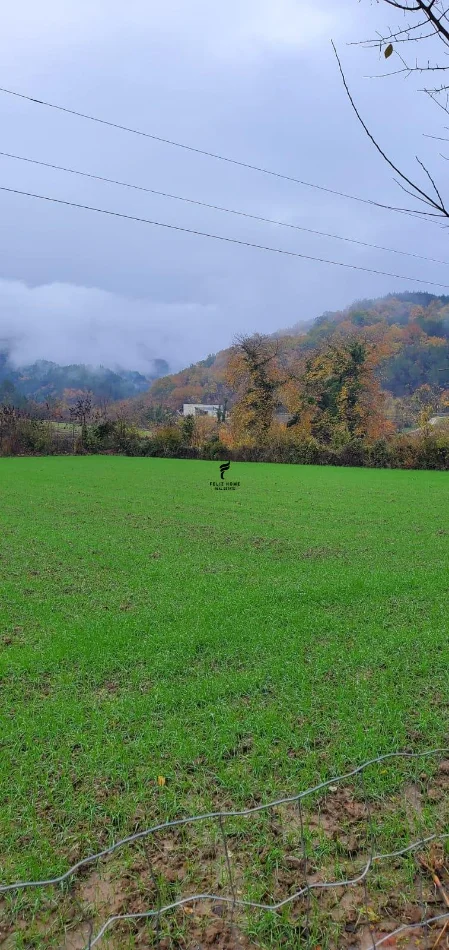 Tirane, shitet toke , 3.500 m² 315.000 € (PETRELE)