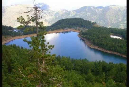 Shitet toke, 1.000 m² 150.000 €