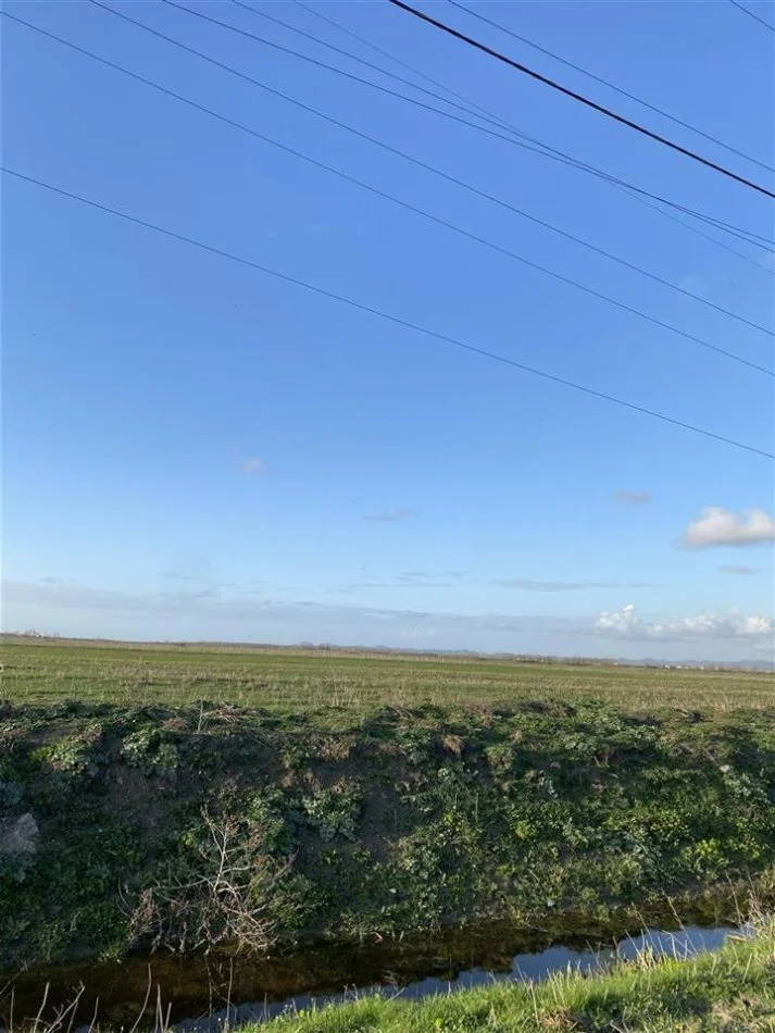 Durres, shitet toke , 10.000 m² 95.000 € (Fllake, Durres)