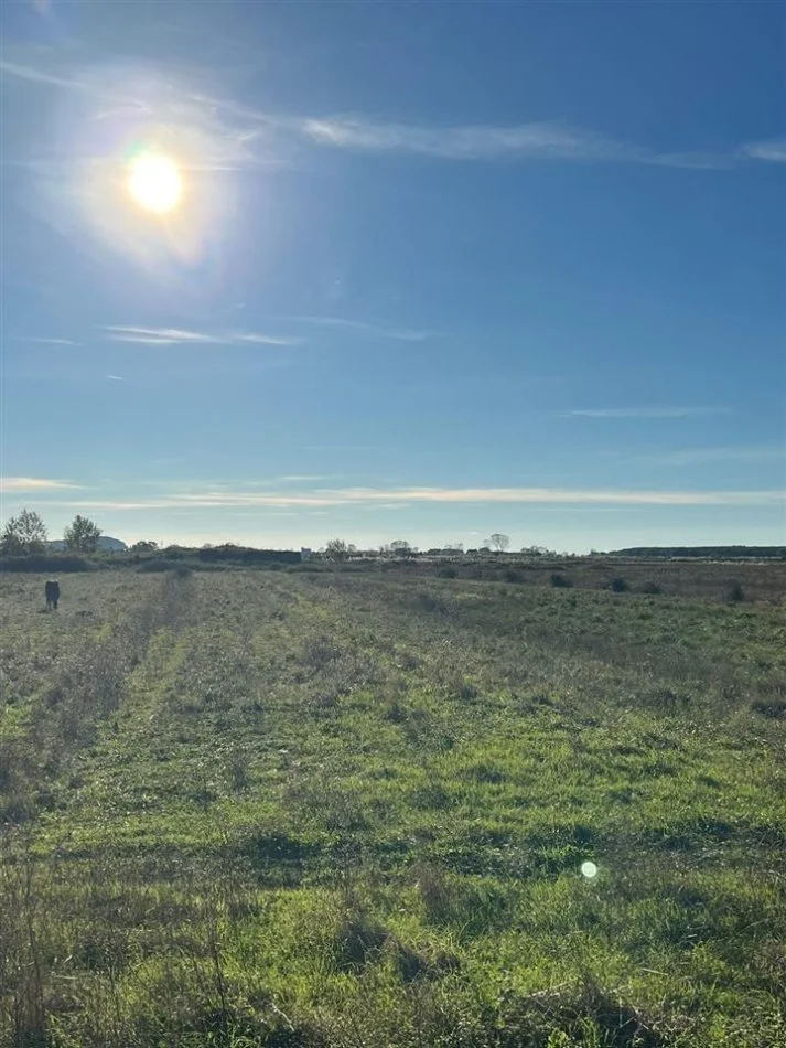 Durres, shitet , 10.000 m² 150.000 € (Fllake, Durres)