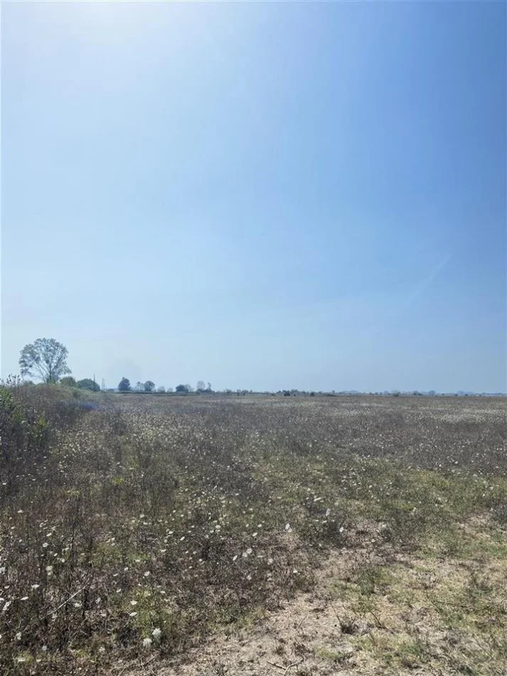 Durres, shitet toke , 5.000 m² 56.000 € (Qerret)