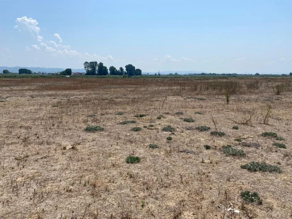 Durres, shitet truall , 4.600 m² 184.000 € (Gjiri Lalezit)