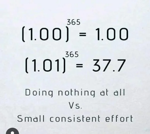 Tirane, ofrojme kurse per lendet shkollore Kujdestari Studim pas shkollor dhe after school.