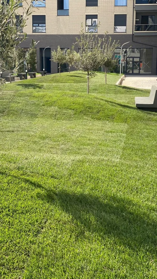 Ambient Biznesi me Qera Okazion