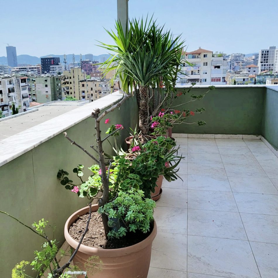 Tirane, jepet me qera 1+1+Aneks+Ballkon Kati 6, 85 m² 400 € (SPITALI QSUT)