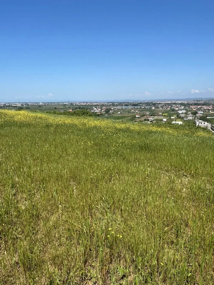 Durres, shes toke , 1.600 m² (Shijak Pjezes)