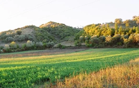 Tirane, jepet me qera truall , 25.000 m² (Mullet)