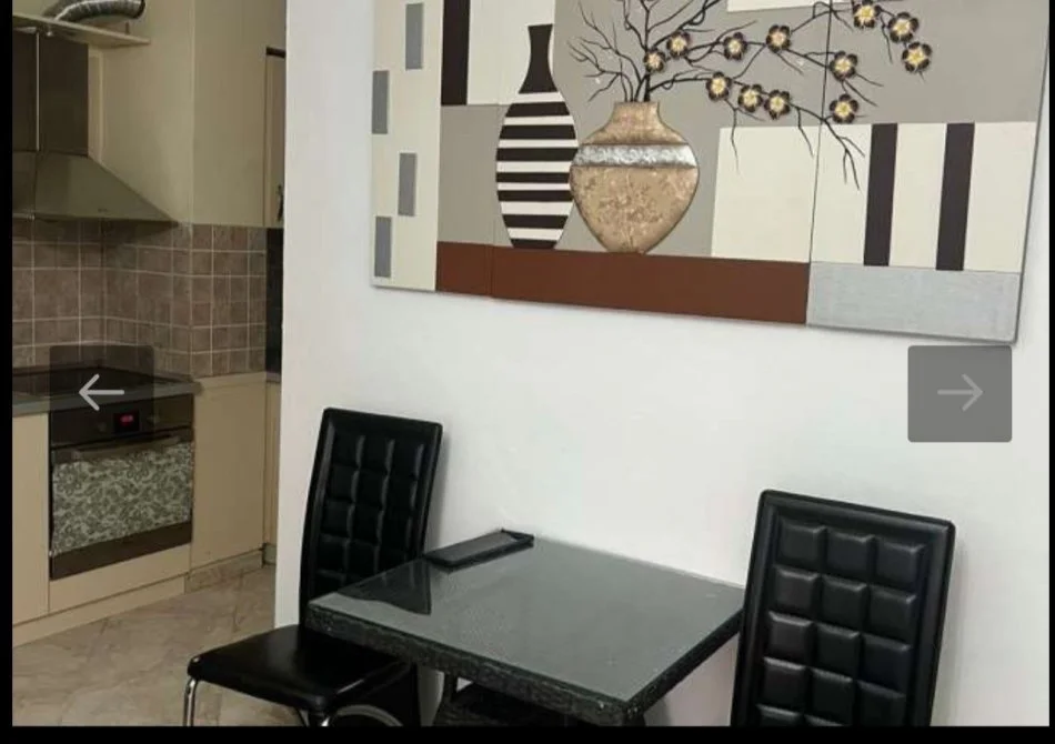 Tirane, jepet me qera garsonier 1+1 Kati 3, 40 m² 550 € (Rruga e Barrikadave)