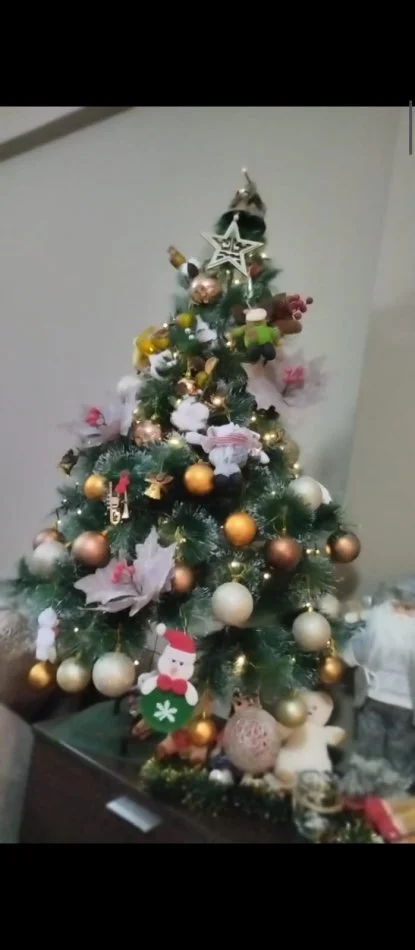 Tirane, shes Peme viti ri 1.2 m 17 €