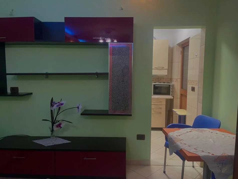 Tirane, jap me qera apartament 1+1+Ballkon Kati 2, 60 m² 300 € (Rrethrotullimi i shkozes)