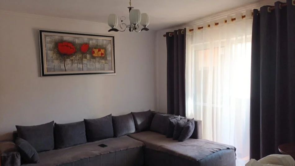 Tirane, jepet me qera apartament 1+1 Kati 3, 55 m² 450 € (Ali Demi, Rruga Dhimitër Kamarda.)