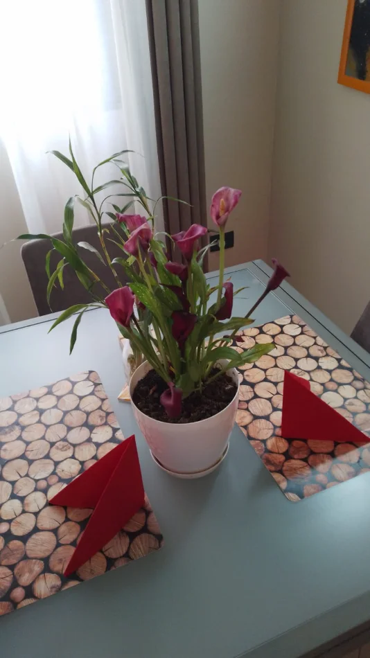 Tirane, jepet me qera apartament 1+1 Kati 3, 70 m² 600 € (Ibrahim kodra)