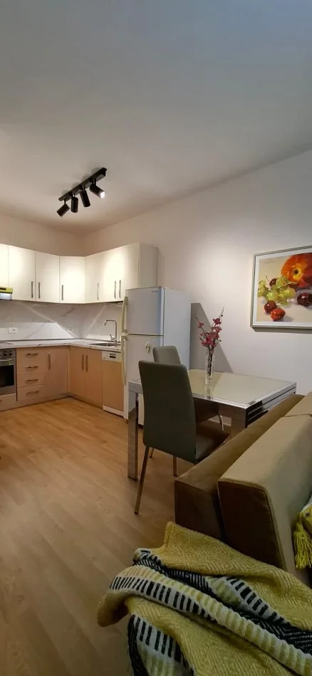 Tirane, jepet me qera apartament 1+1 Kati 3, 75 m² 600 € (Kopshti botanik)