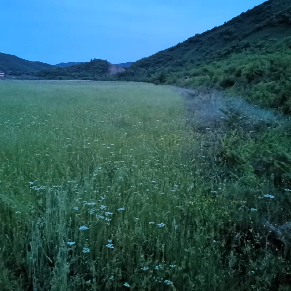 Tirane, shitet toke bujqesore , 2.000 m² (Damjan-Fortuzaj, Tirane)