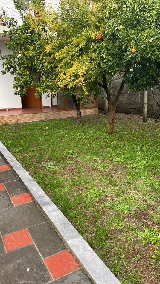 Tirane, jepet me qera shtepi 1+1+Ballkon Kati 0, 52 m² 225 € (rruga perparimi)