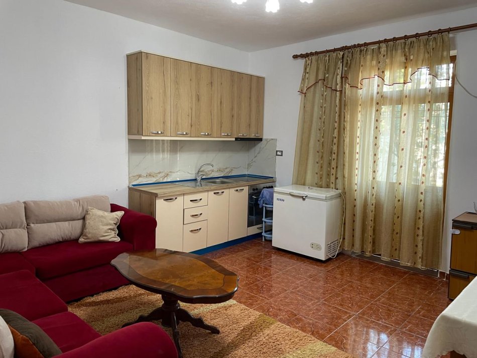 Tirane, jepet me qera shtepi 1+1+Ballkon Kati 0, 52 m² 225 € (rruga perparimi)